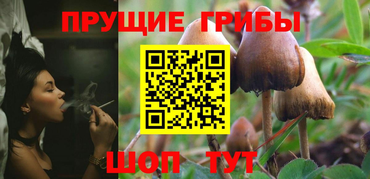 Сафоново  Галлюциногенные грибы MAGIC MUSHROOMS  Вход с VPN 